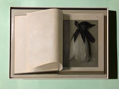 -Nathalie Djurberg与Hans Berg“牛皮纸包裹的月亮”-Prada荣宅当季展览