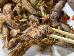 精品皮皮虾-云南巷海鲜大咖·可加工海鲜