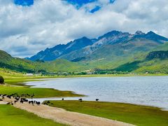 -象山村腊排骨(丽江总店)