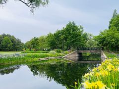 -上海共青森林公园