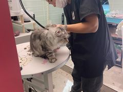 -FAELING PETS美天灵宠物(合生汇店)