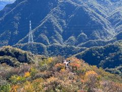 -大岭沟猕猴桃谷风景区