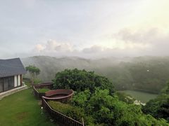 -广东惠东海龟国家级自然保护区