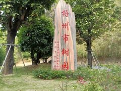 -白云山风景名胜区