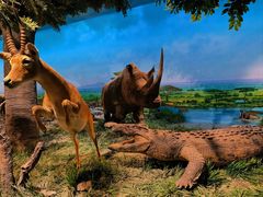 -国家自然博物馆