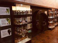 -青岛葡萄酒博物馆