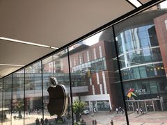 -Apple零售店(中街大悦城店)