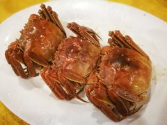 -鸿达渔港