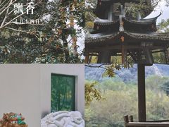 -温州永嘉书院