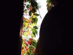 -漳州云洞岩风景区-瑞竹岩