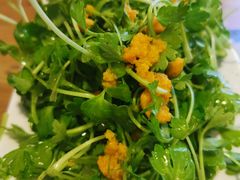 -海胆小馆(东北水饺·春柳店)