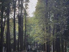 -九江美术馆