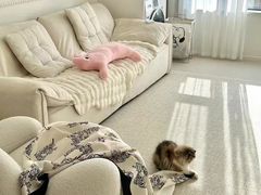 -吉美装饰•思栋空间(莘庄店)