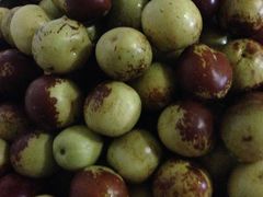 -江杨农产品批发市场