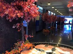 -飞扬影城(正佳IMAX店)