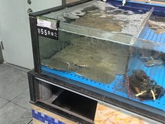 -信誉楼(新乐店)