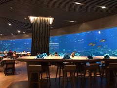 -海棠湾洲际-涛·海底餐厅·美人鱼·自助餐·海底隧道