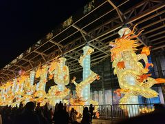 -武汉园博园(武汉自然博物馆)