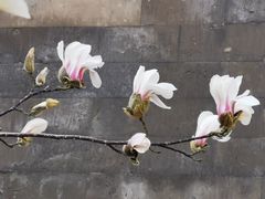 -东华门大街小区