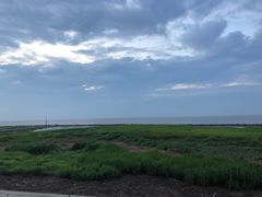 -南汇嘴观海公园