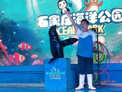 -石家庄海洋公园