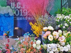 -重庆市江北嘴中央商务区中央公园