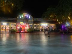 -广州长隆国际大马戏