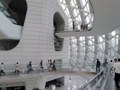 -凤凰中心