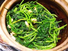 蒜蓉空心菜-鹅城粤菜馆(白云山路店)