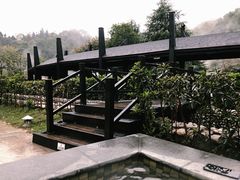 -三江森林温泉度假区