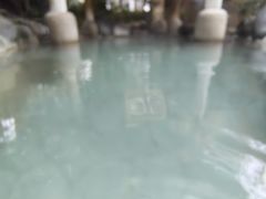 -张家港金凤凰度假村温泉