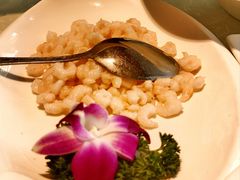 清炒虾仁-金典银峰老鹅馆·昆山菜(亭林公园店)