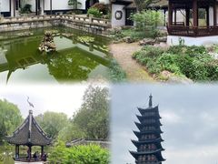 -上海醉白池公园