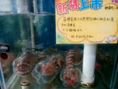 -蚝专家(北滘店)