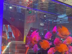 -朱光玉火锅馆(正弘城店)