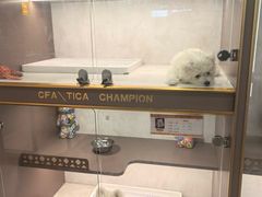 -翊宠yipet猫狗购宠庄园犬舍•猫舍