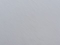 -哈肉联红肠(清滨路店)