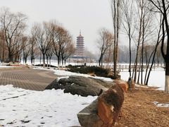 -延庆地质公园博物馆