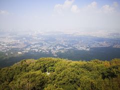 -紫金山索道-售票处