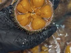 -连鹭海鲜·海肠捞饭·海胆饭(星海店)