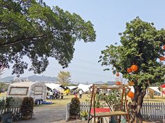 -长洲岛都市农业公园