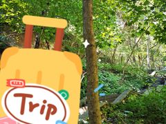 -大连天门山国家森林公园