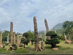 -深圳仙湖植物园