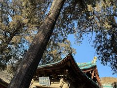 -窦大夫祠