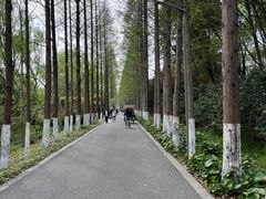 -昆山城市生态森林公园