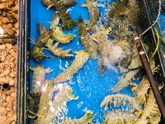 -广东名门