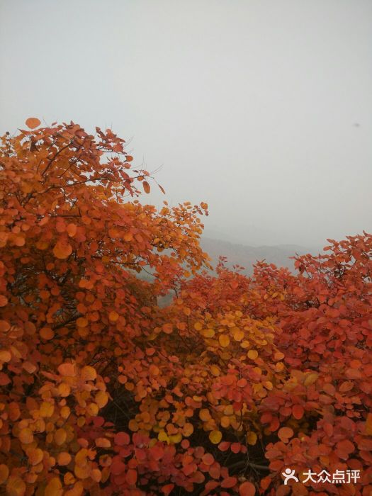 竹林長壽山景區-圖片-鞏義市景點/周邊遊-大眾點評網