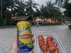 -芽庄珍珠岛游乐园