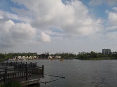 -上海长兴岛郊野公园