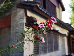 -天龙八部武侠城